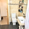 Photo 7: Renovated bathroom 