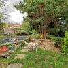 Photo 8: Garden
