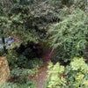 Photo 2: Garden from the room