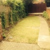 Photo 7: Garden
