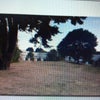 Photo 3: view from garden gate