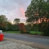 Photo 3: View of College Green from Front Door