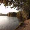 Photo 9: Trent Park is stunning in the autumn