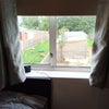 Photo 2: view to garden