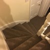 Photo 5: New carpet