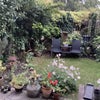 Photo 5: Garden