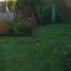 Photo 5: Lawned garden at rear, with patio and decking area
