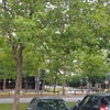 Photo 4: Opposite Centre:MK