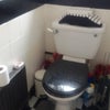 Photo 7: FF Water Closet