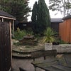 Photo 3: Garden