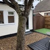 Photo 4: Garden