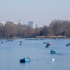 Photo 8: Hyde Park- 5 Minutes Walk 
