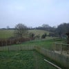 Photo 3: View of the land