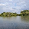 Photo 9: Hollow Ponds