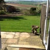 Photo 4: Patio