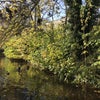 Photo 7: New river walk