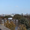 Photo 9: Day View Terrace