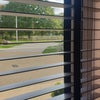 Photo 8: View from the Lounge Window