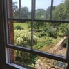 Photo 1: Garden and orchard