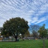 Photo 7: park across the road
