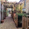 Photo 6: Walkway