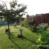 Photo 6: Garden