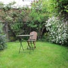 Photo 6: Rear Garden