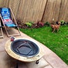 Photo 3: Garden & Ruby
