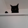 Photo 9: House Security