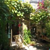 Photo 4: Mid Summer....