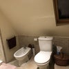 Photo 6: Loo and bidet