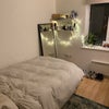 Photo 7: Room available