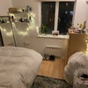 Photo 8: Room available