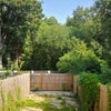 Photo 6: Back Yard