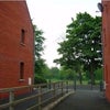 Photo 7: Driveway