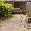 Photo 7: Communal garden
