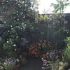Photo 7: Roof terrace in Summer