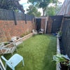 Photo 5: Garden