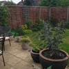 Photo 7: Lovely garden
