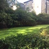 Photo 5: Communal Gardens
