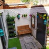 Photo 5: Yard