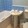 Photo 4: Bath tub and shower 