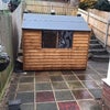 Photo 9: Shed for Bicycle Storage