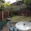 Photo 5: Garden