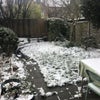Photo 5: Garden in the Snow - From the back door