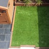 Photo 8: Garden