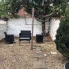 Photo 4: Low maintenance garden