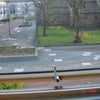 Photo 9: View from Bed room Window