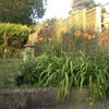 Photo 2: garden