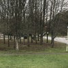 Photo 7: View from bedroom